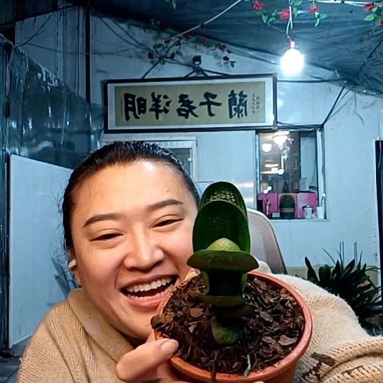 老***白老白一颗珍珠王49