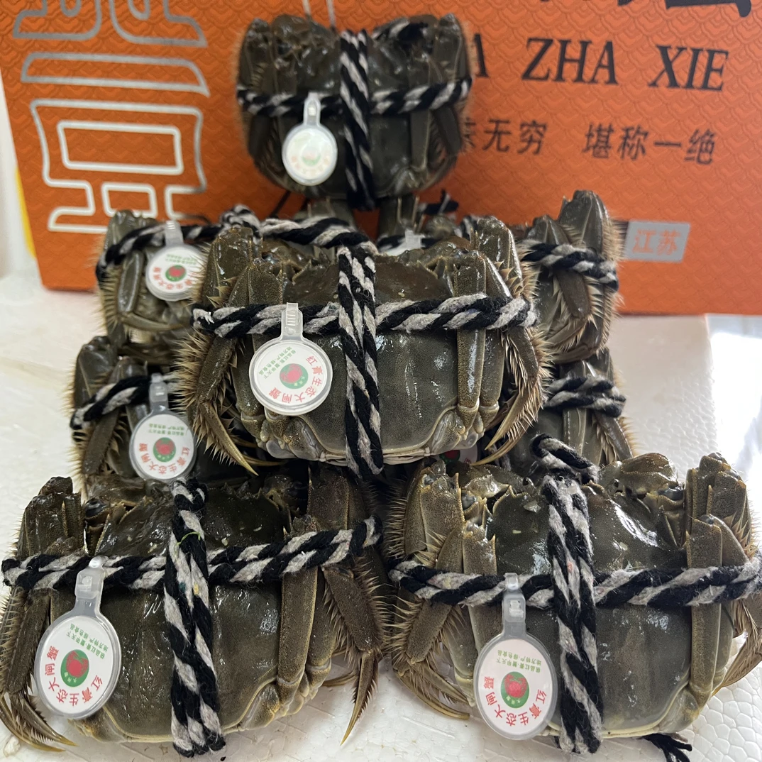 大闸蟹礼盒三两一只公【十只】一盒