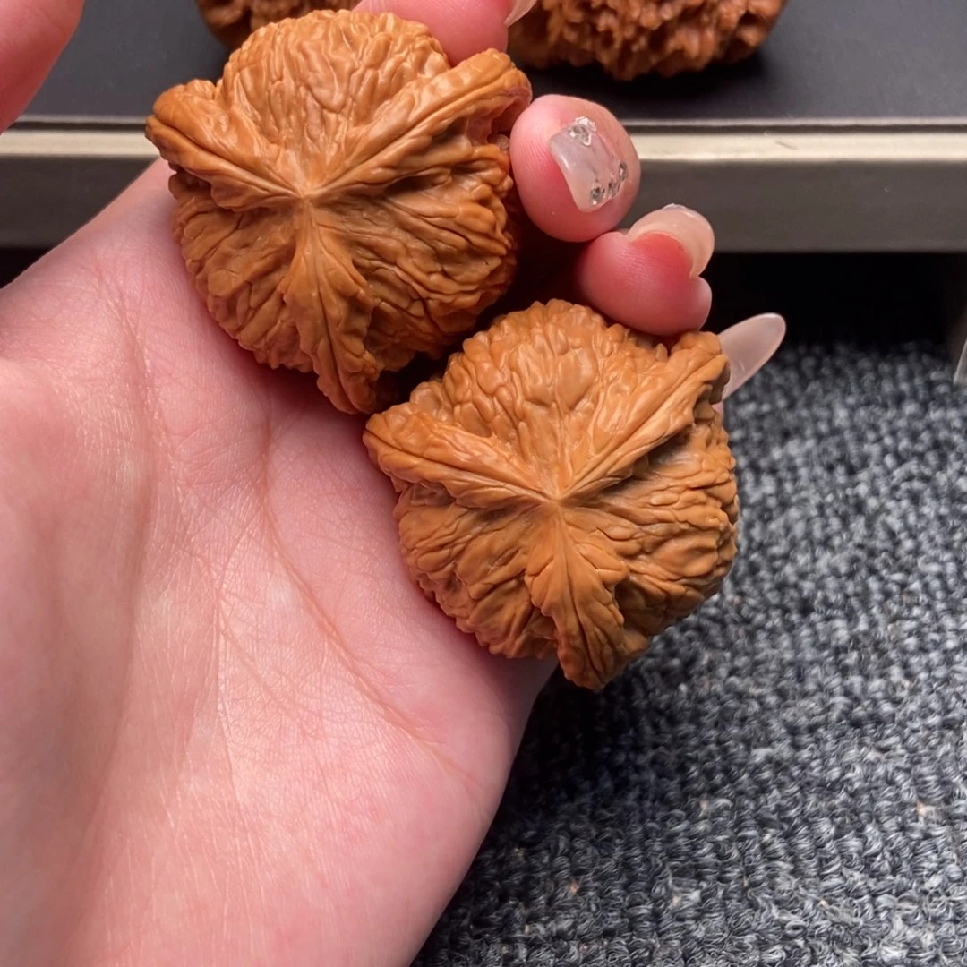 及****木质类白狮子正奔