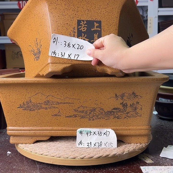 紫砂花盆蛇年大吉