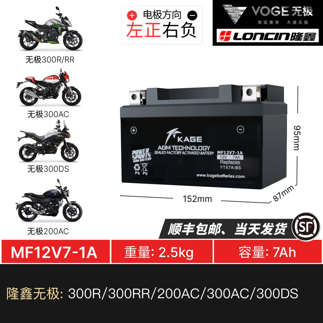 隆鑫无极300R/300RR/200AC/300AC/300DS 摩托车电瓶12V猛狮蓄电池