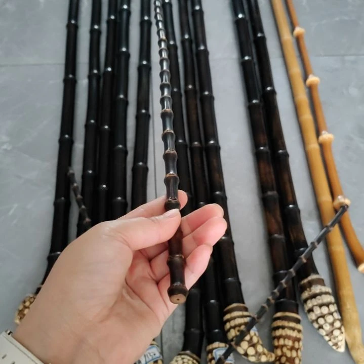 今***惜紫竹教鞭88888888888