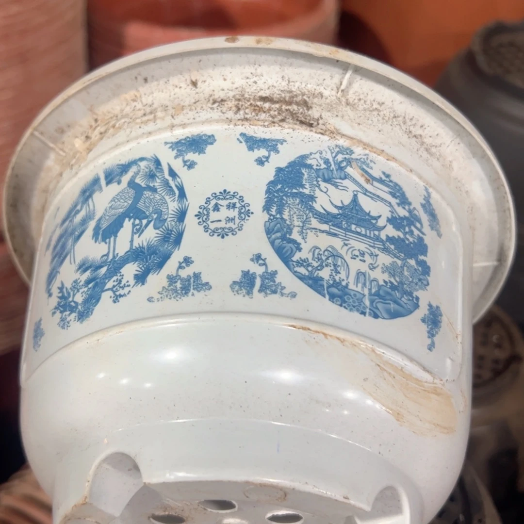 新富贵花开盆18.5外口径12.5高 1个