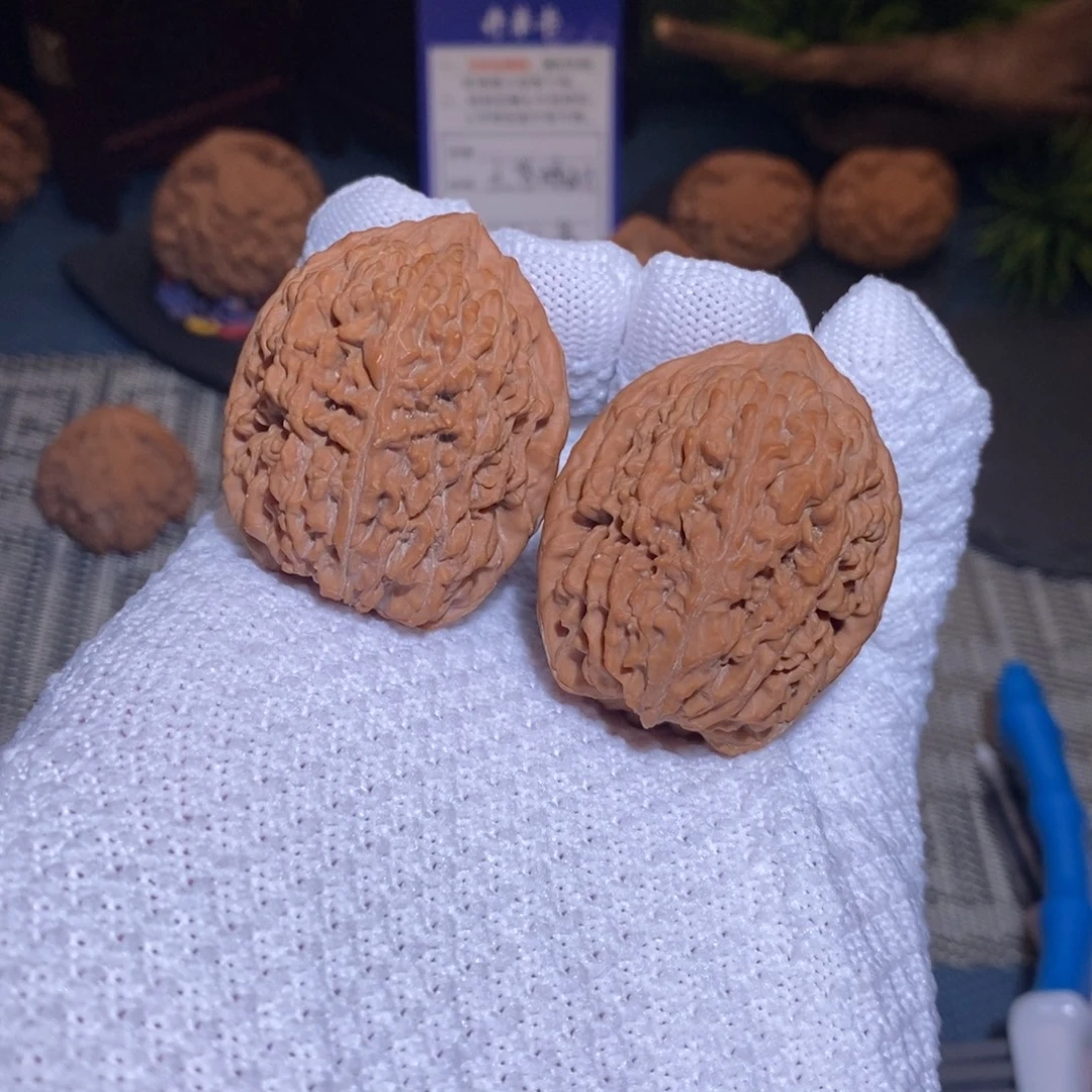 36尺 全品无修白茬 25头茬 大蒜头