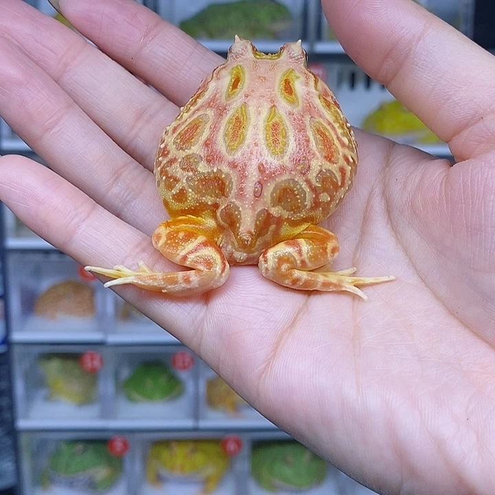 特价秒杀特价原价
