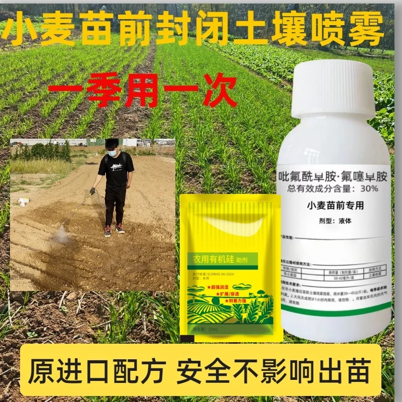 【助农补贴]】小麦苗前专用2025升级加强版全田喷雾不伤苗提质产品2