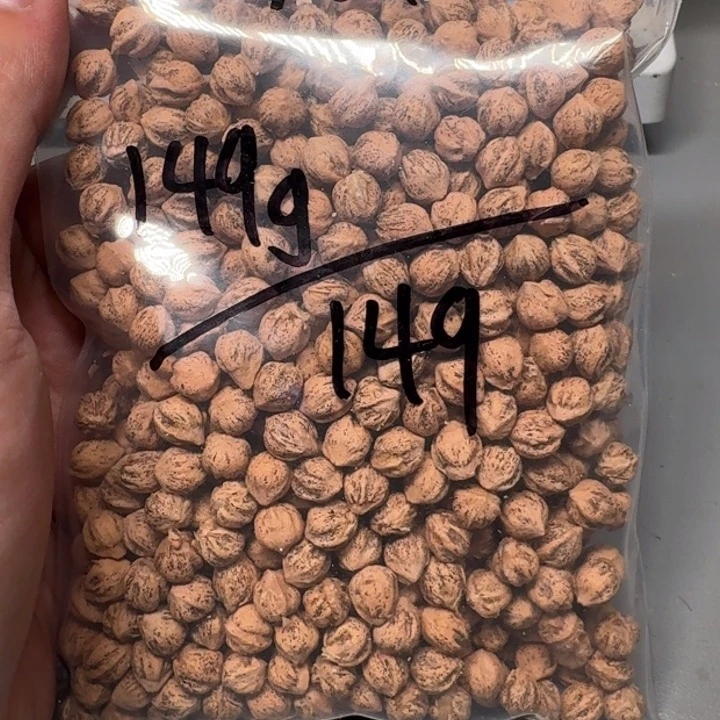 柏香籽/百香籽吊坠乔**山