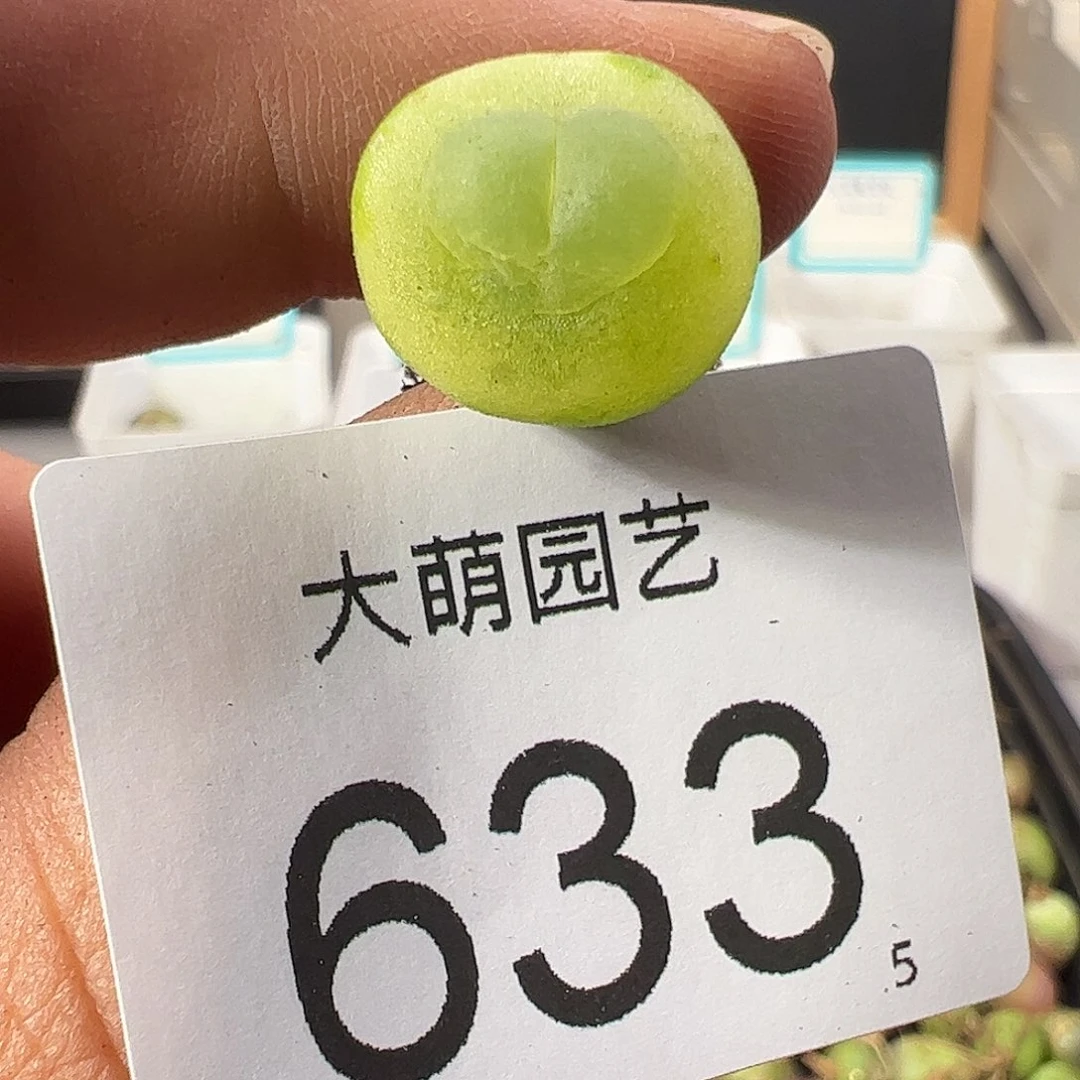 0000633 一物一拍……
