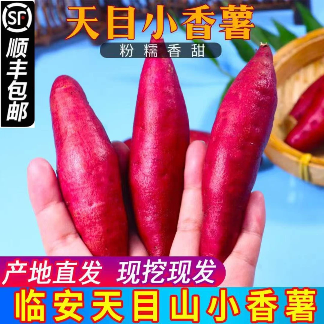正宗临安天目山小香薯香甜软糯新鲜现挖小红薯山芋地瓜农家自种