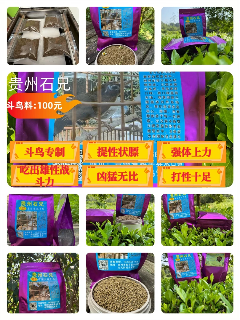 饲料100～打口料画眉鸟饲料饲料画眉鸟食饲料