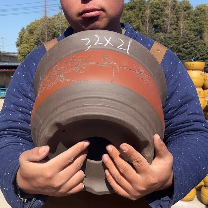 紫砂紫砂花盆盆栽