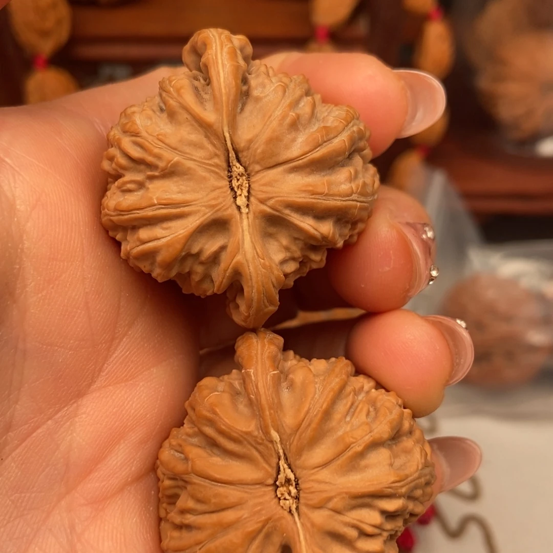 大叶紫檀（黑酸枝木类）白狮子