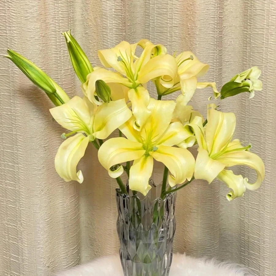 【单瓣百合】皇帝香水百合 一单包邮 云南鲜花昆明基地现采现发