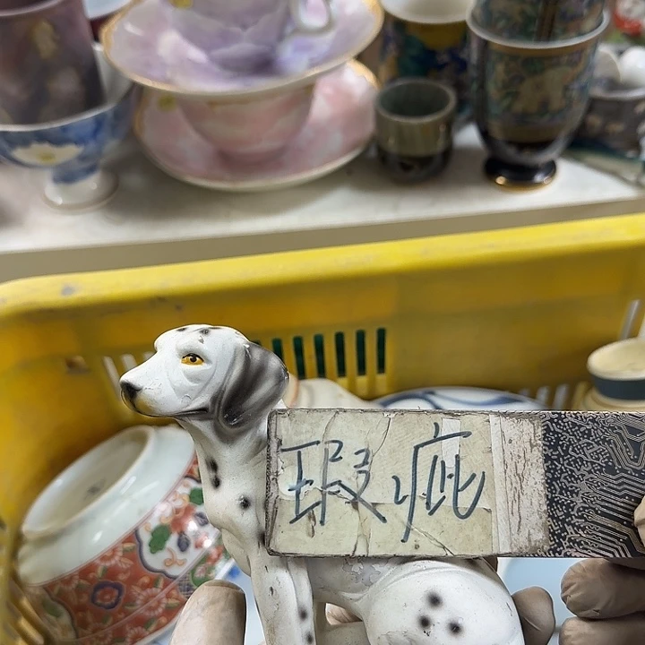 碗开播啦….开播啦