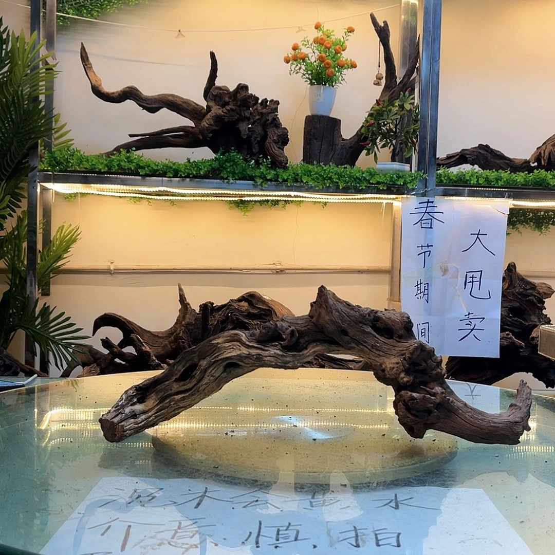 柚木〆**灬沉木鱼缸造景