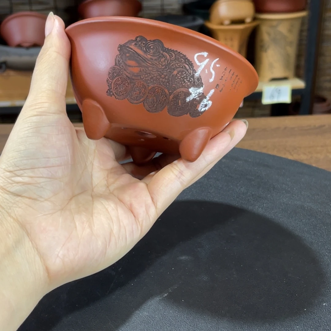 紫砂花盆你不接啊