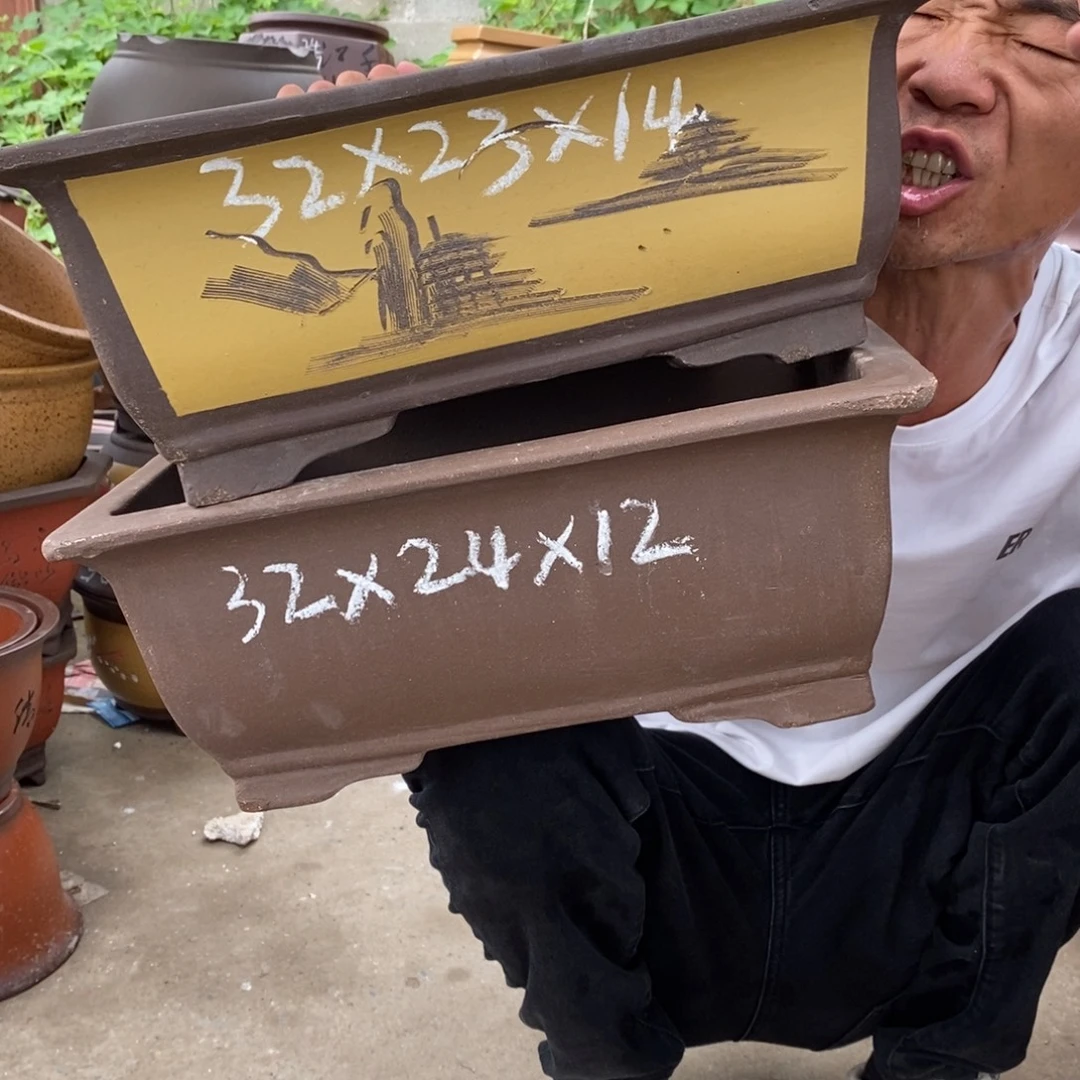 紫砂紫砂紫砂紫砂