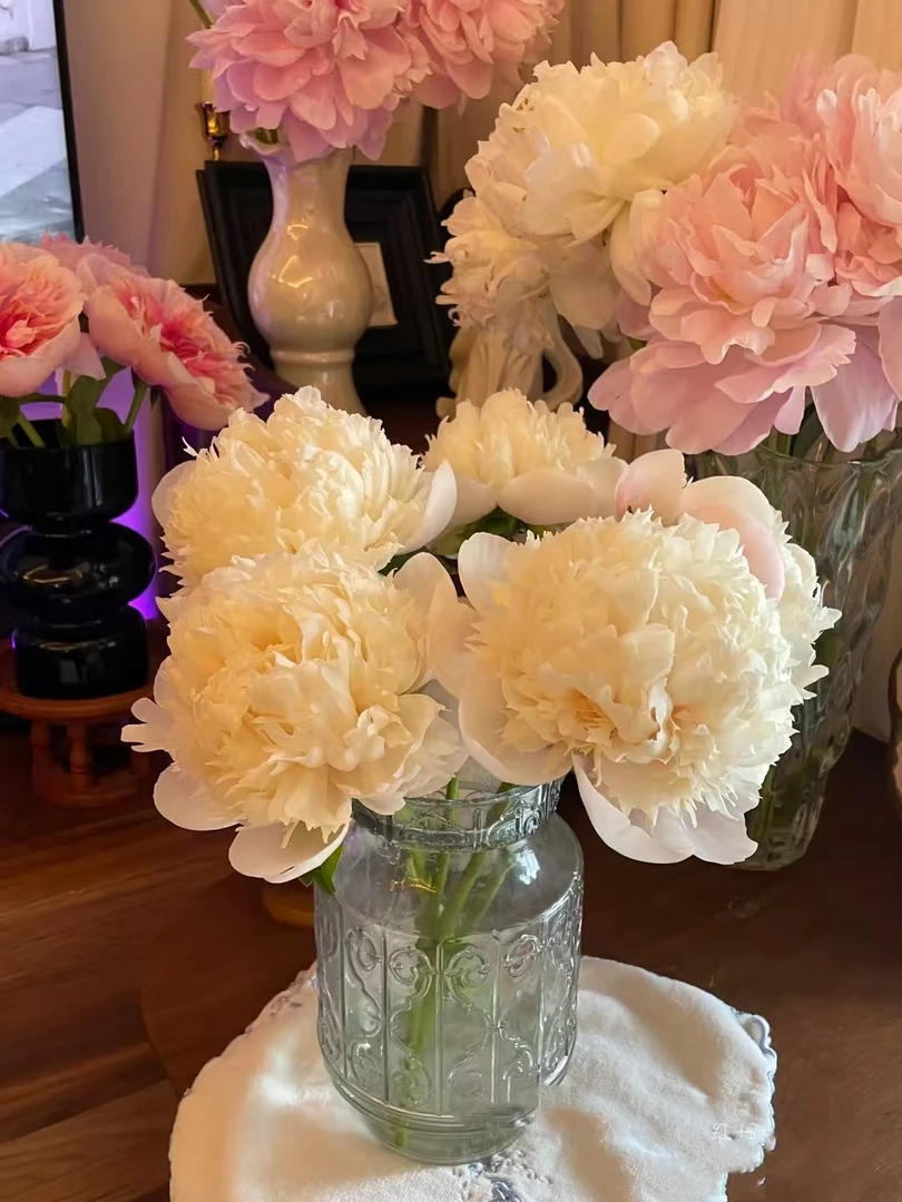 【现货速发*欧文斯】蜜桃臀最可爱 水蜜桃本桃 山东菏泽基地直发