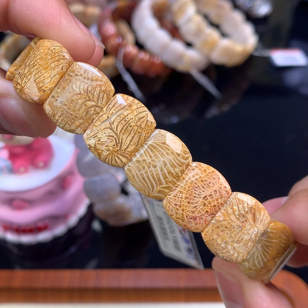 【闪购商品】颈饰未镶嵌硅化珊瑚（珊瑚玉）2号mini版型凤尾