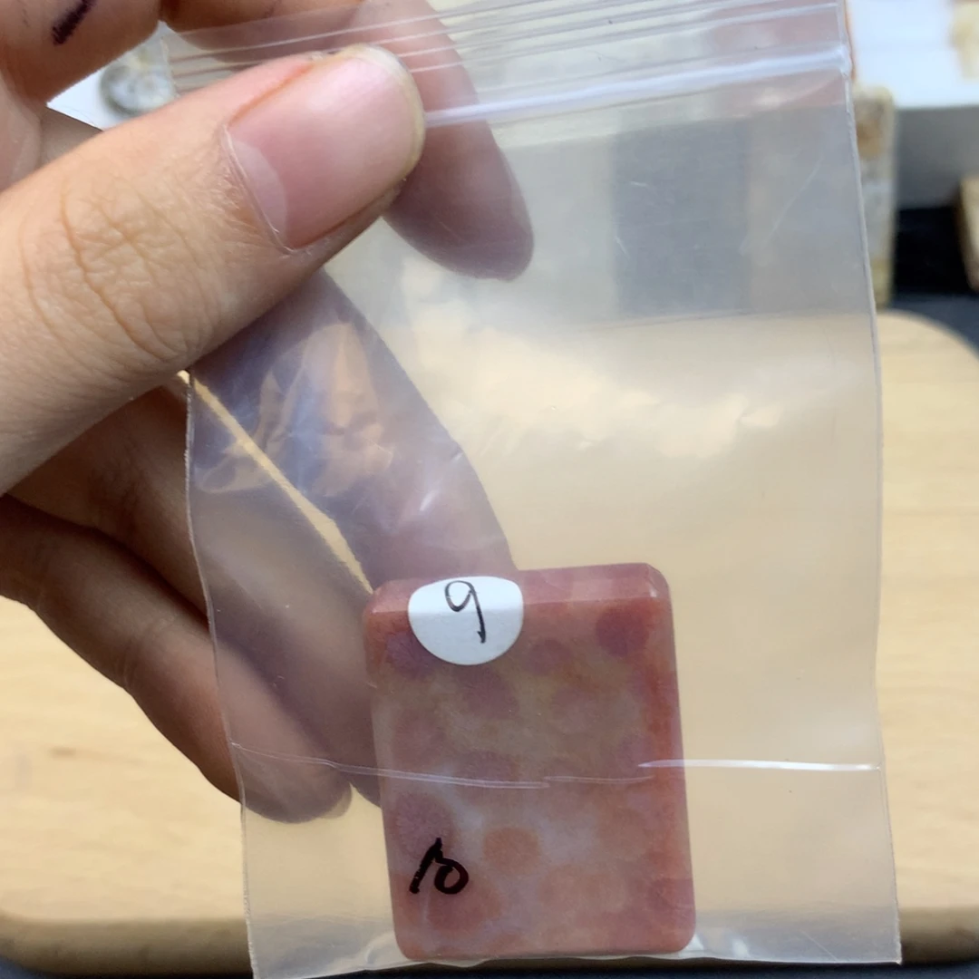 未***见硅化珊瑚（珊瑚玉）未镶嵌颈饰