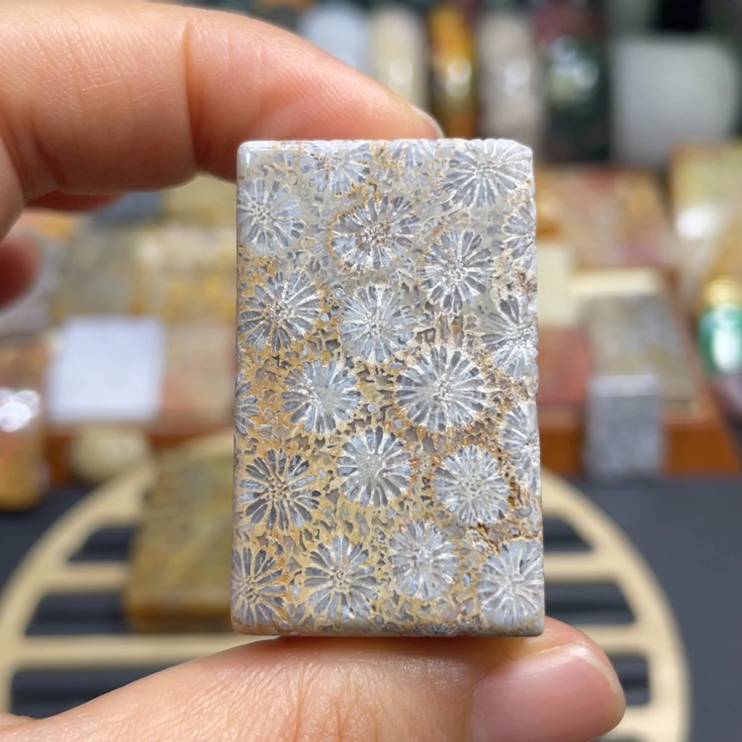 硅化玉未镶嵌颈饰k21