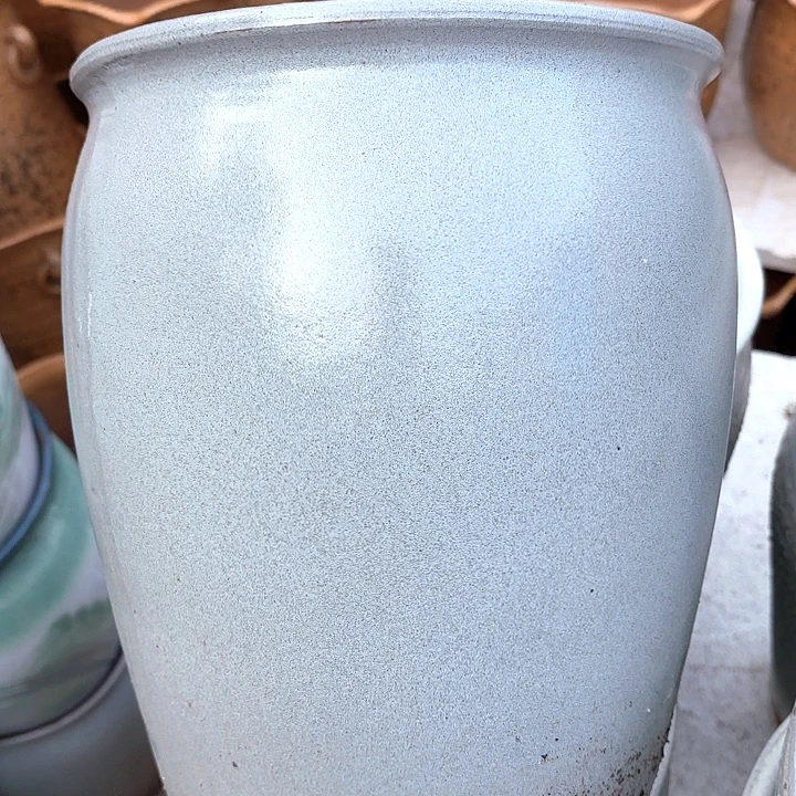 正品高31口25一个