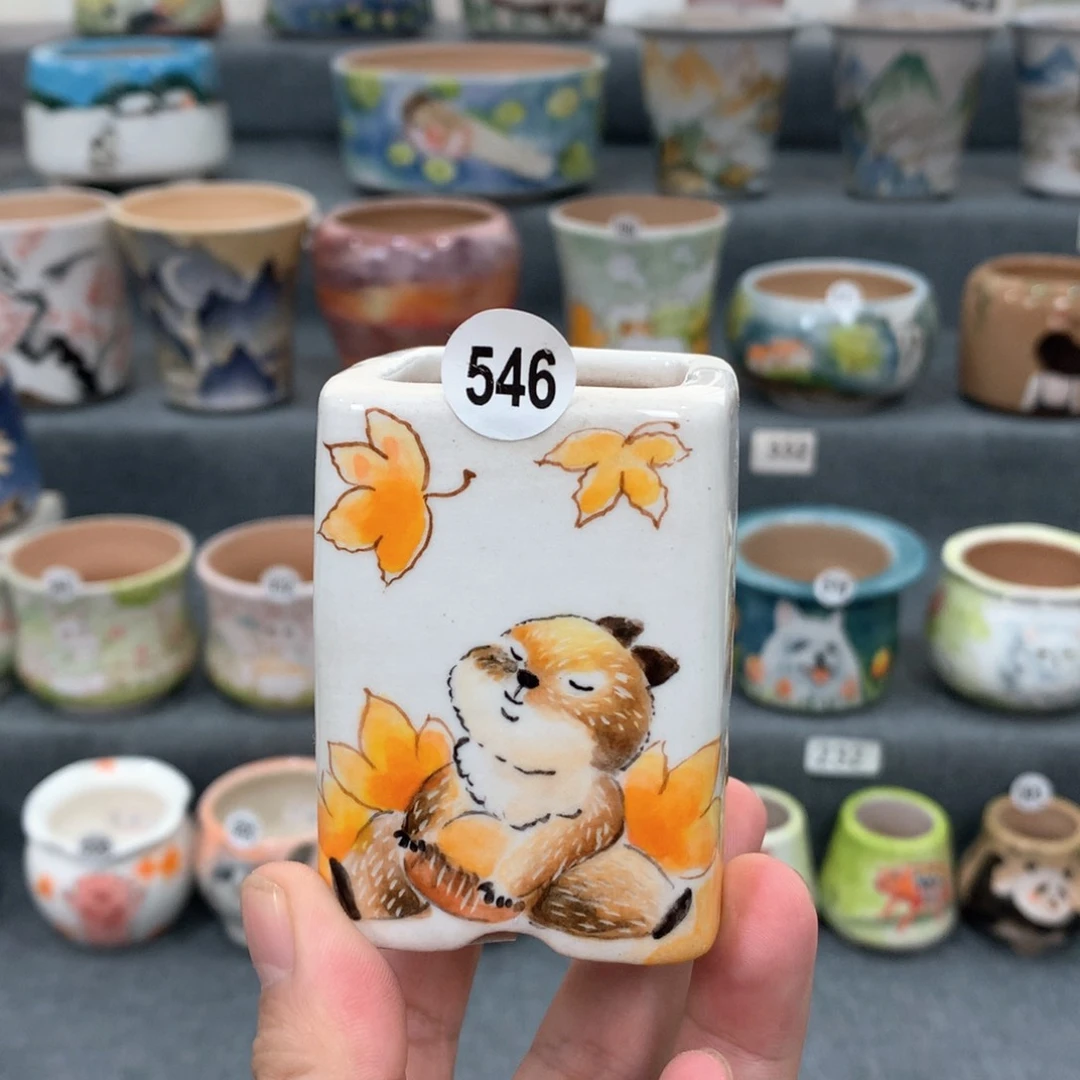 罐双十一大活动专场