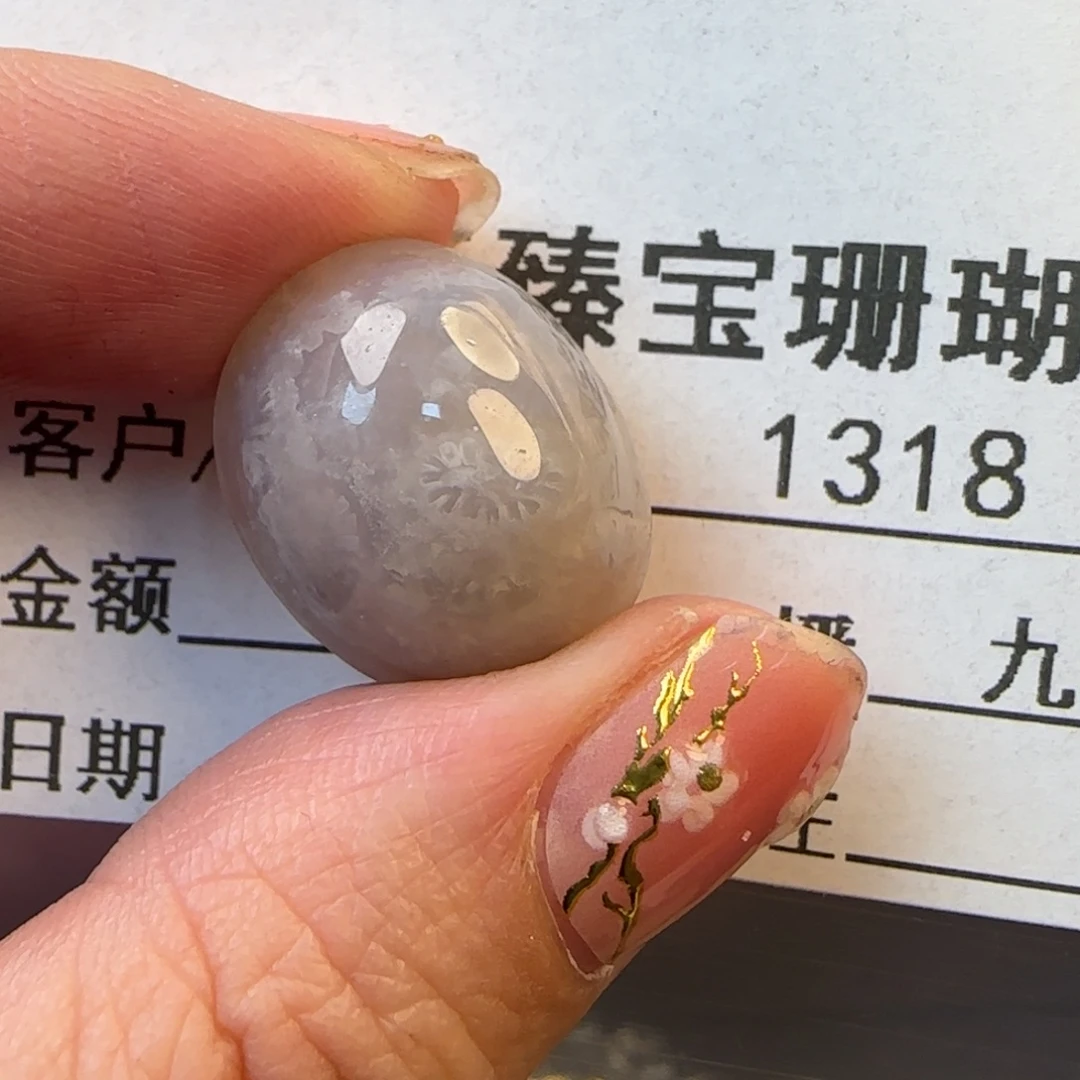 硅化珊瑚（珊瑚玉）未镶嵌颈饰