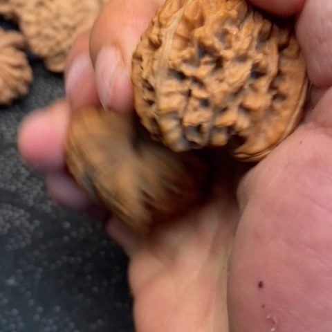 文玩核桃把件西楼3.3