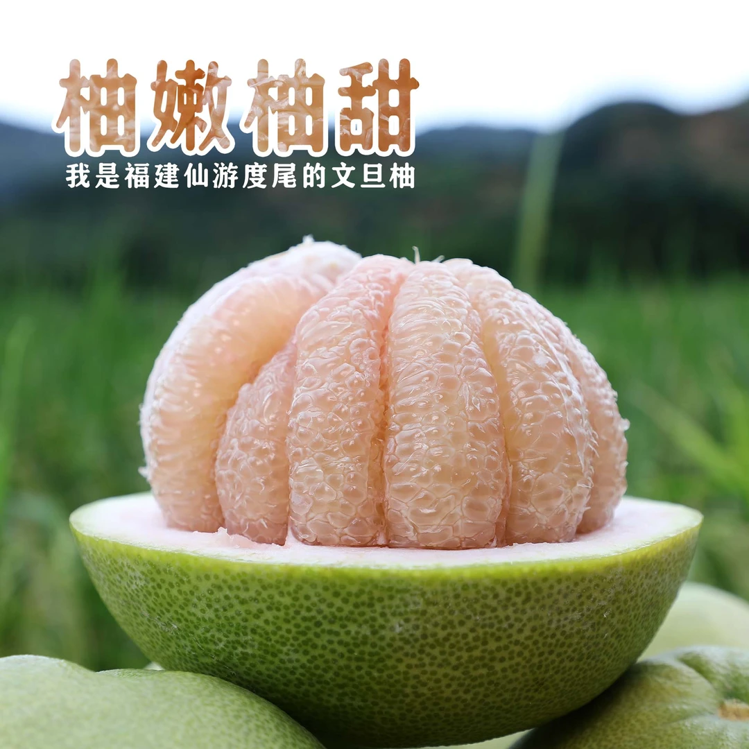 福建仙游度尾文旦柚老树当季新鲜孕妇水果酸甜多汁
