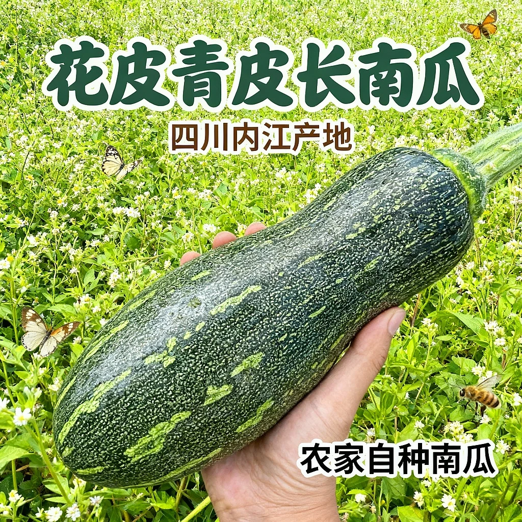 四川农家自种小南瓜新鲜现摘现发嫩南瓜倭瓜花皮青皮长南瓜蔬菜