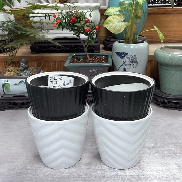 陶瓷花盆抢购福利