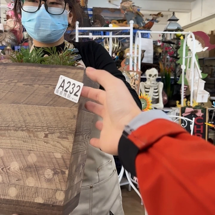 核桃木/黑胡桃（胡桃木）