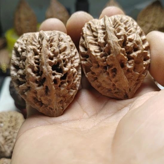 文玩核桃把件蚂蚁窝