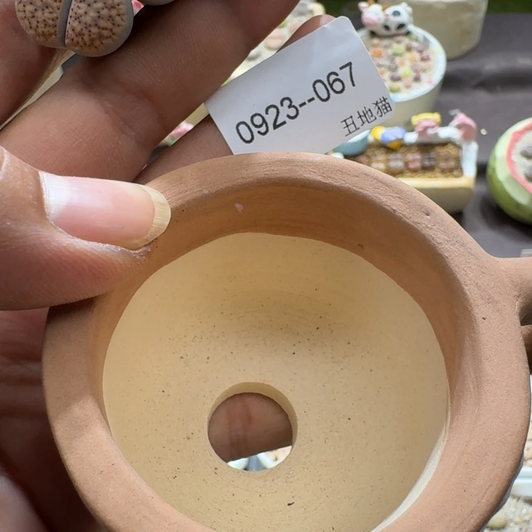 颖***0923-067盆盆盆盆