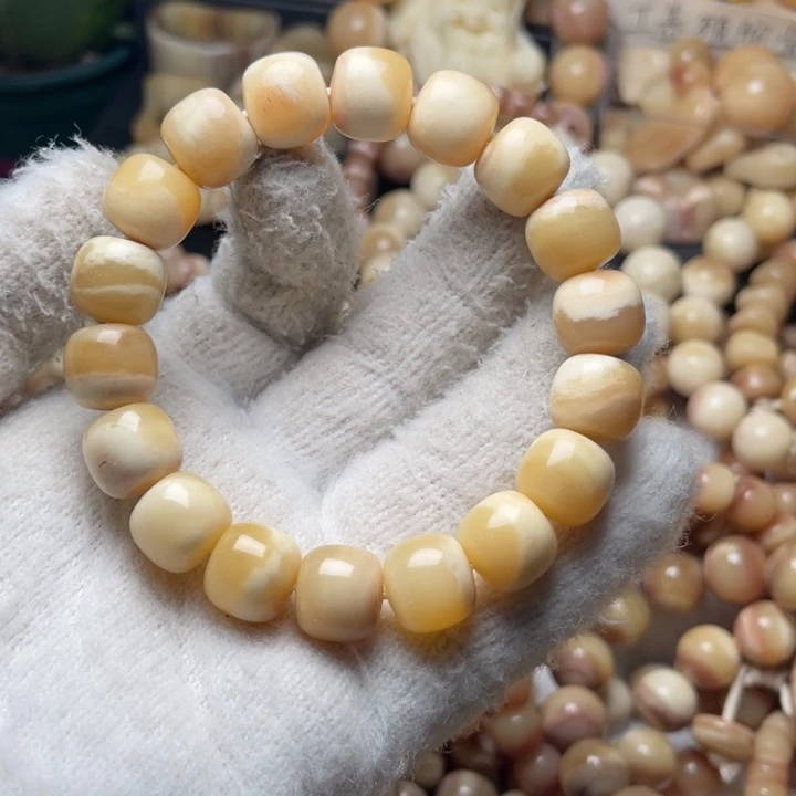 地***的驼骨手串/手链13✖️12