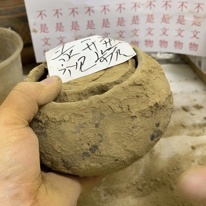 无非金属人**生一一一一一一一
