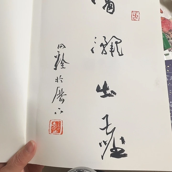 沙***鸥书法于明诠潇洒出尘