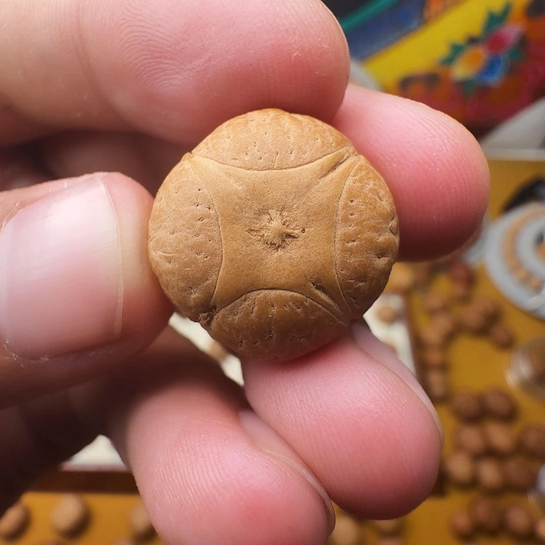 C***620.6麒麟单籽，一物一图