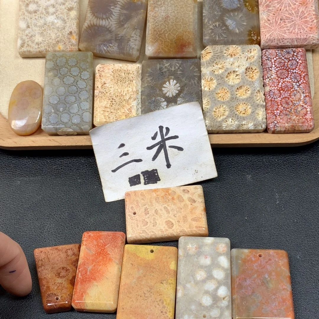****友硅化珊瑚（珊瑚玉）未镶嵌颈饰