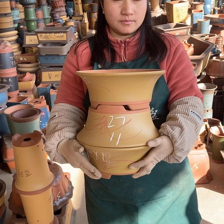 紫砂花盆盆栽花卉苗木种植