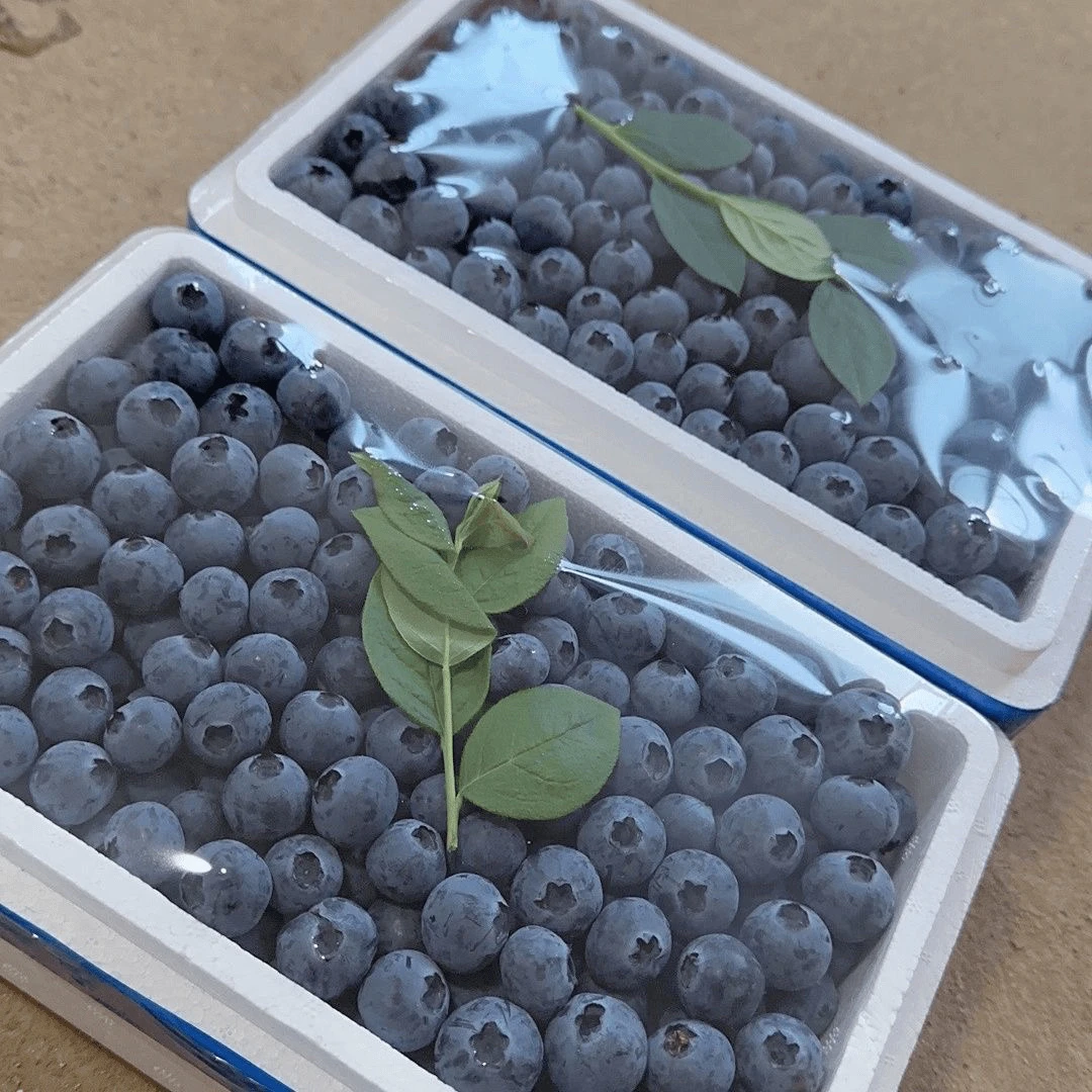 【冷链直发】蓝莓大果15mm-17mm 新鲜花香蓝莓多汁孕妇宝100克/含盒