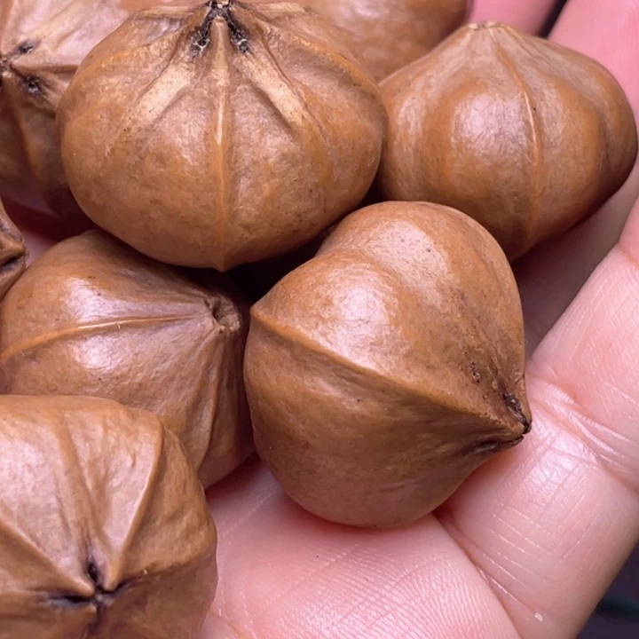 国***米橄榄核手串/手链橄榄核2.8左右