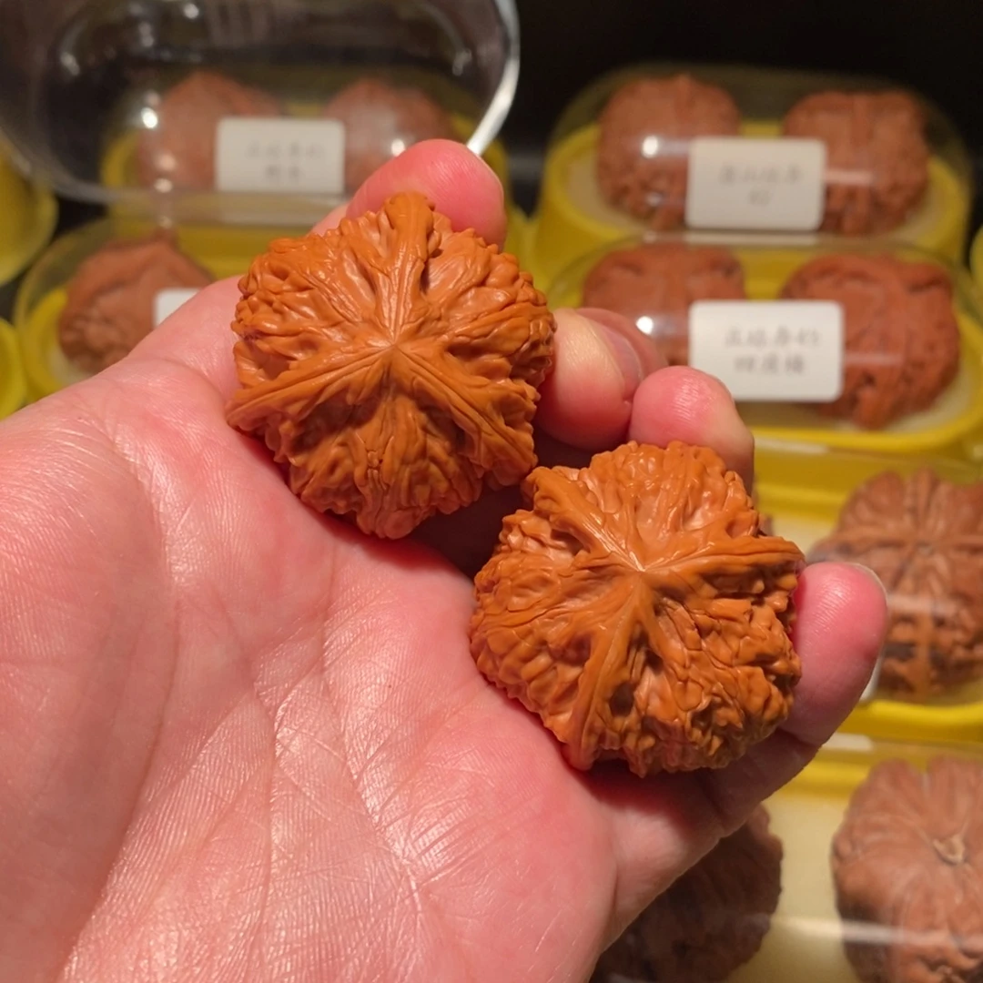 39御龙粗筋正球奔精品对