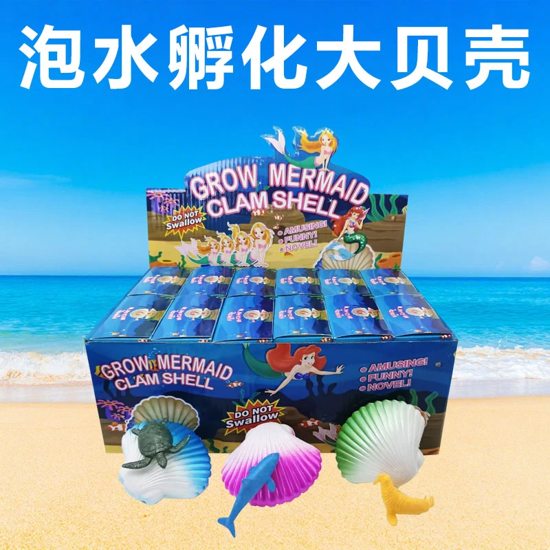 七彩贝壳盲盒泡水美人鱼女孩扇贝膨胀变大孵化海洋动物的贝壳