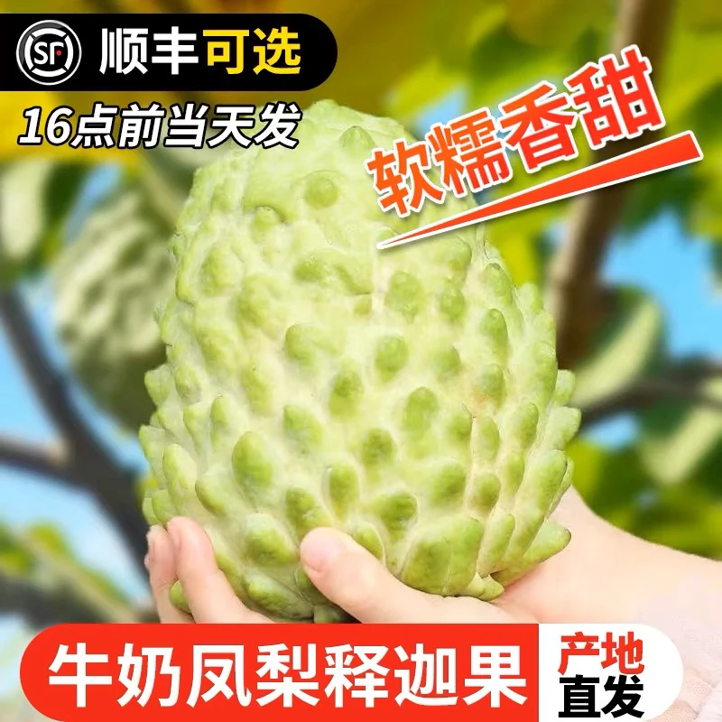 云南元江番荔枝新鲜释迦果甜蜜多汁软糯口感凤梨释迦果