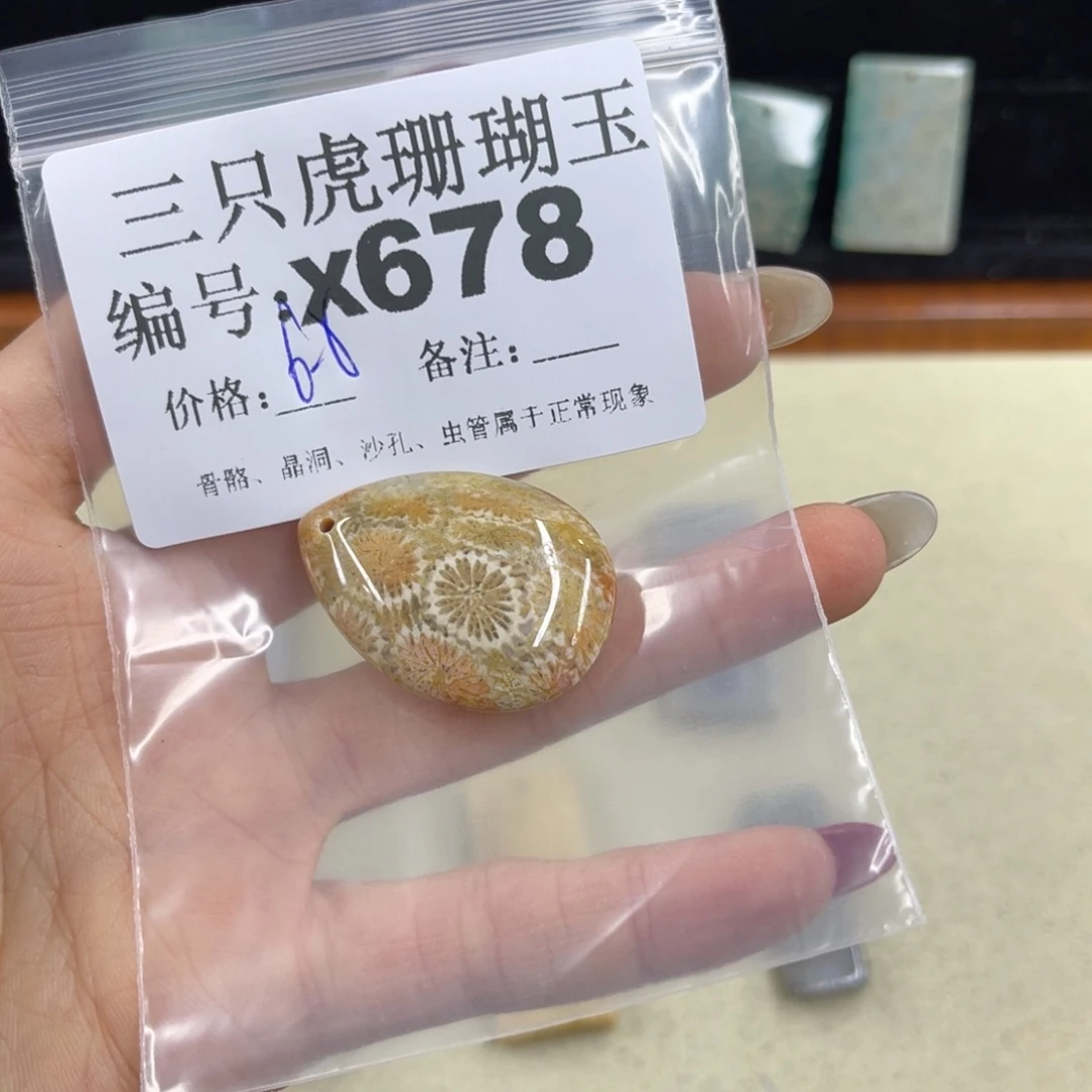 元***锦硅化珊瑚（珊瑚玉）h银S925镀金镶嵌