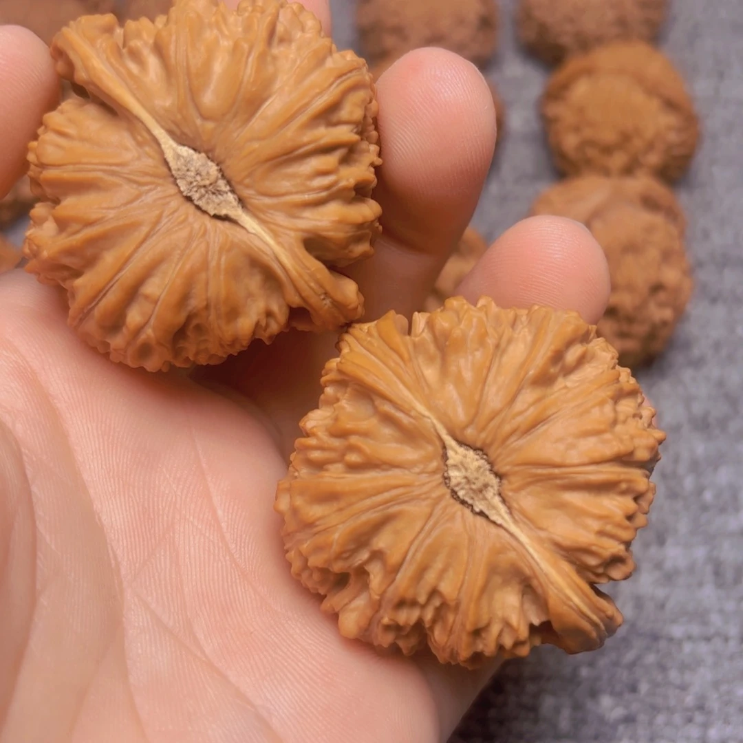 核桃把件U****）45全品白狮子