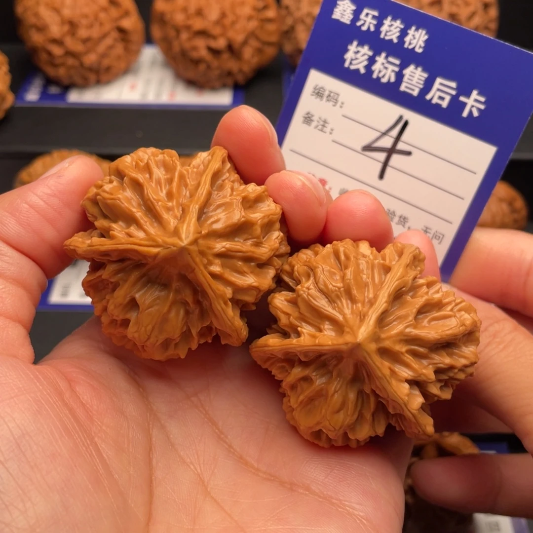 文玩核桃把件帝王正奔43尺4号