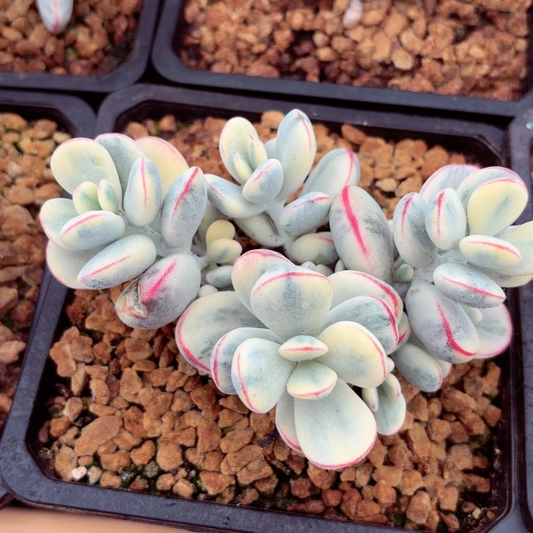 Hvjnvbvbbbbbnnnnhjjjj